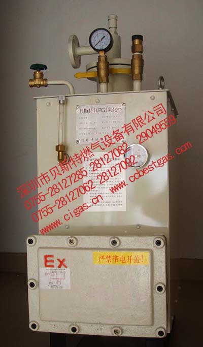 供应CPEX中邦气化炉_化气炉_LPG电热式气化器_汽化炉_壁挂炉